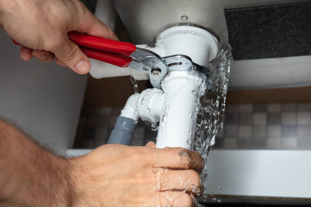 Best Basement water damage restoration  in Junction City, OR