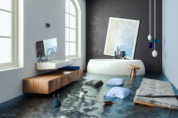 Best Water damage cleanup near me  in Junction City, OR