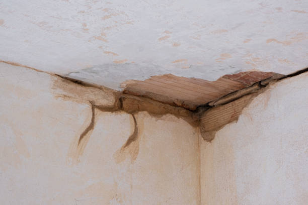  Junction City, OR Water damage restoration Pros