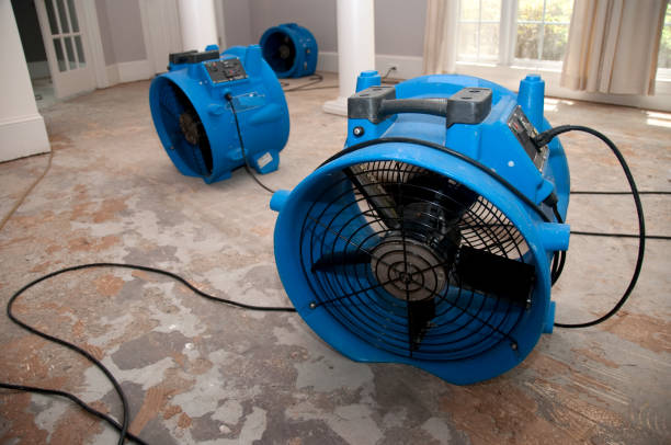 Best Water damage contractors near me  in Junction City, OR