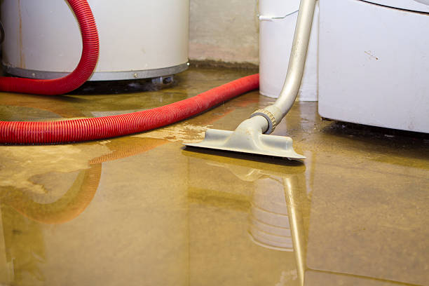 Best Mold removal after water damage  in Junction City, OR