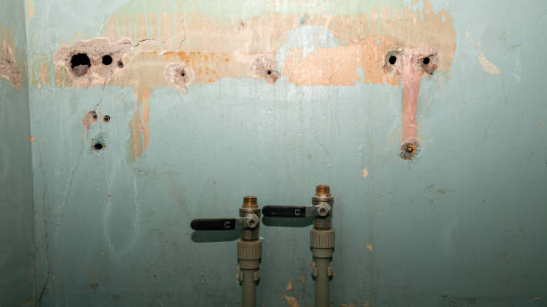 Trusted OR Water damage restoration Experts