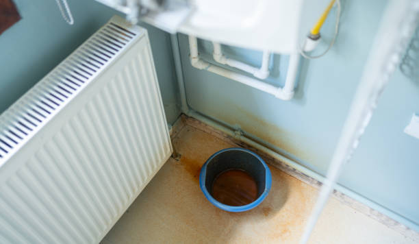 Best Commercial water damage restoration  in Junction City, OR