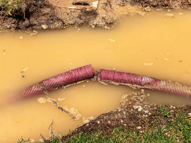 Carpet water damage restoration in OR